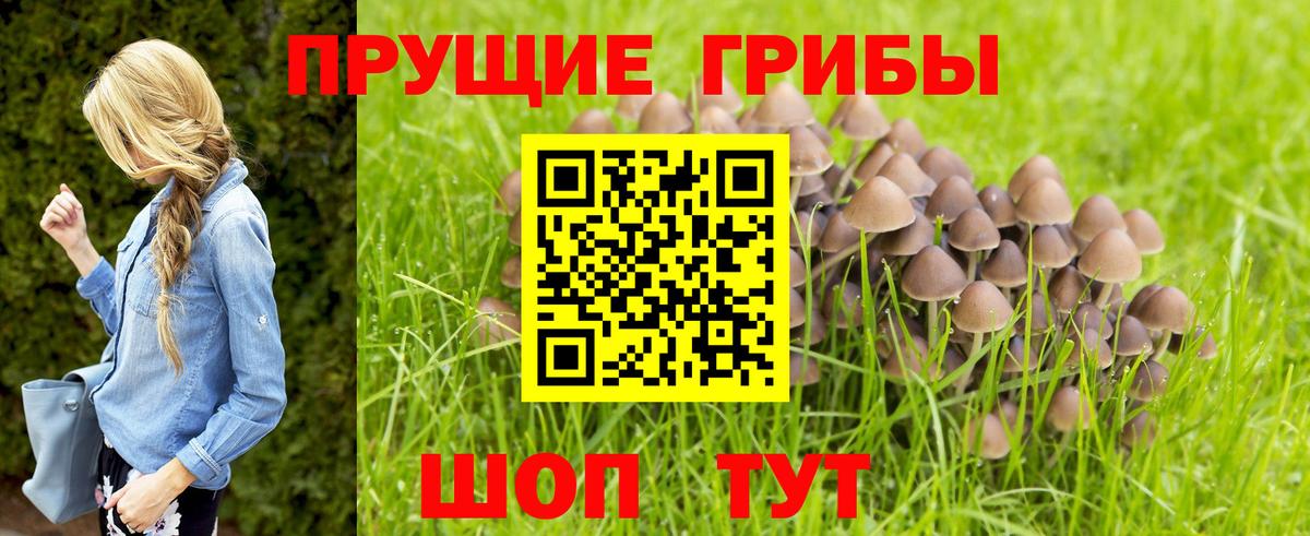 Галлюциногенные грибы MAGIC MUSHROOMS  Вход с VPN  Коломна  купить закладку  Псилоцибиновые грибы Magic Shrooms 