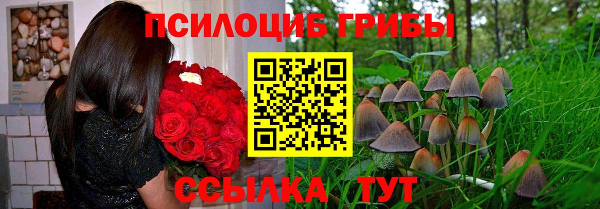 Галлюциногенные грибы Cubensis Коломна